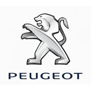 Автозапчасти в Советском районе peugeot.jpg