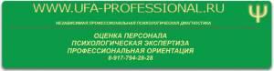 Оценка персонала   PROFESSIONAl.jpg